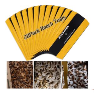 20 Pack Roach Traps